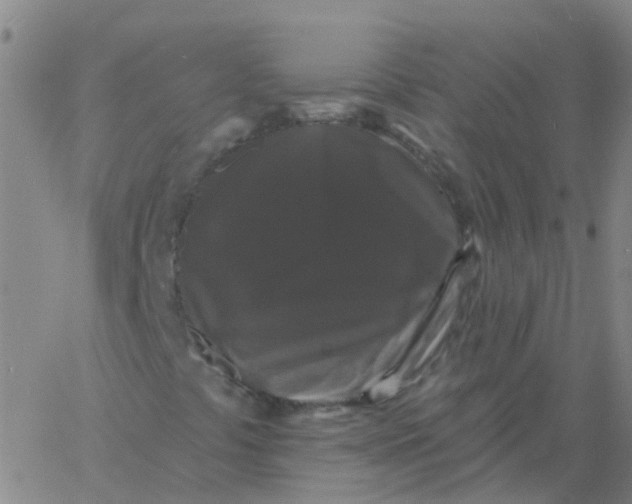 X0000060791441200512082112