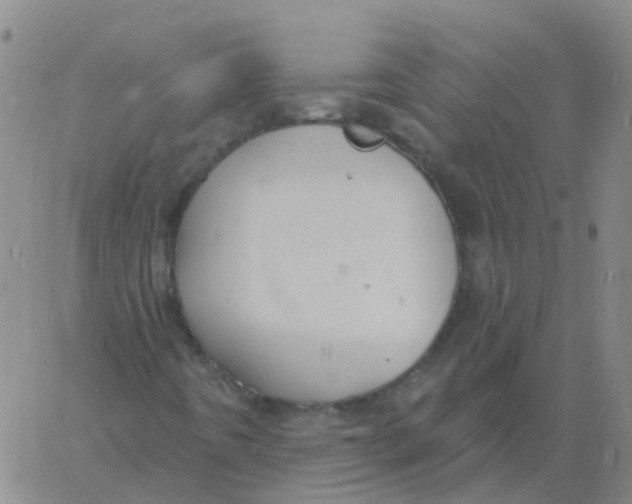 X0000060791442200512082112