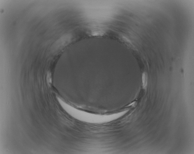 X0000060791443200512082112