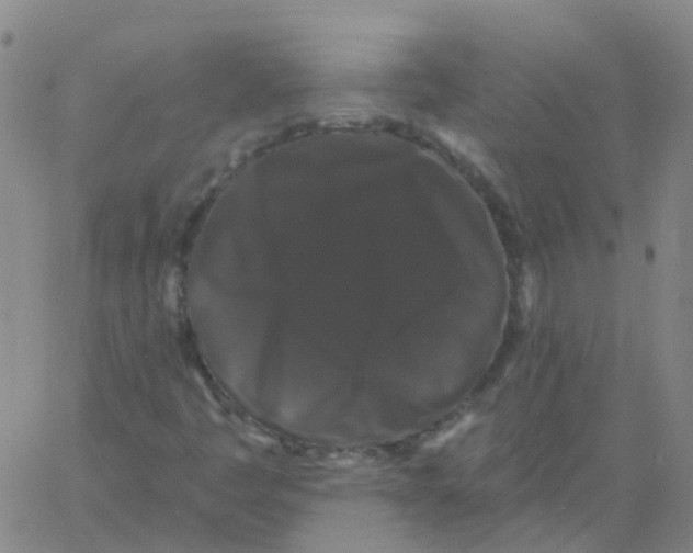 X0000060791445200512082112