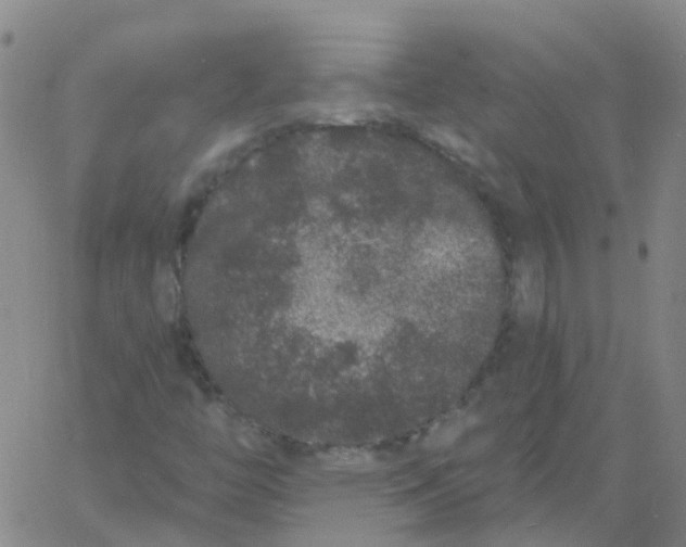 X0000060791446200512082112