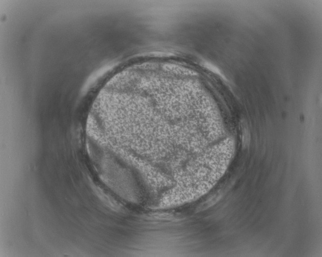 X0000060791448200512082112