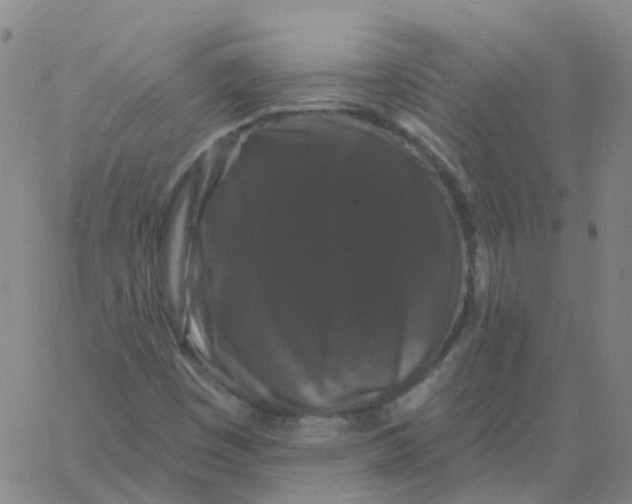 X0000060791449200512082112