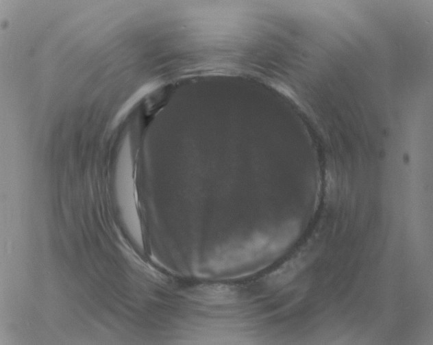 X0000060791450200512082112