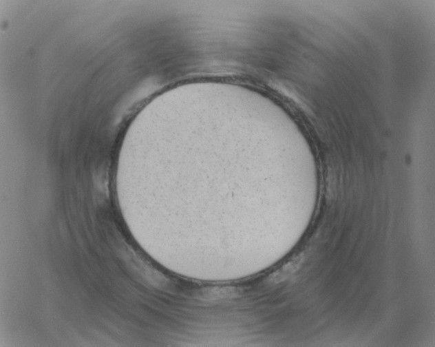 X0000060791451200512082112