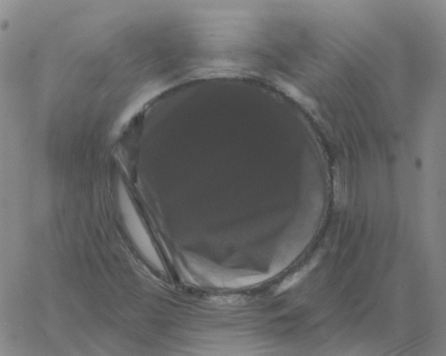 X0000060791453200512082112