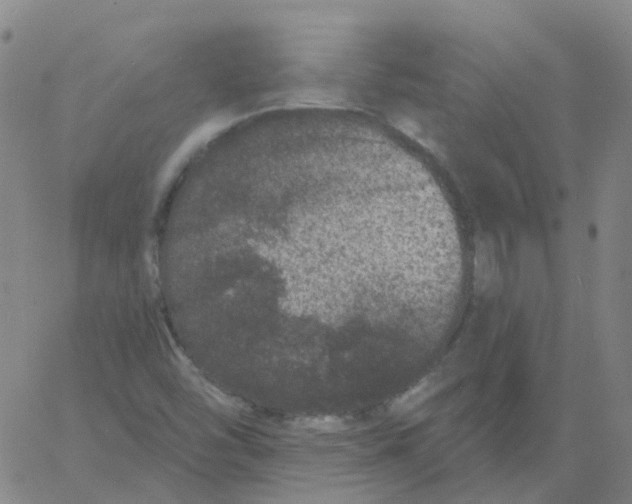 X0000060791454200512082112