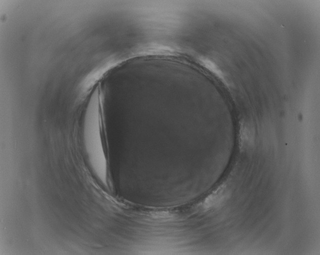 X0000060791455200512082112