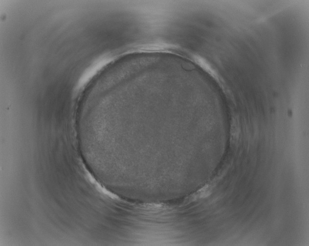 X0000060791456200512082112