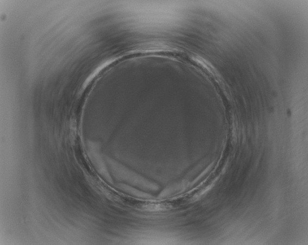 X0000060791457200512082112