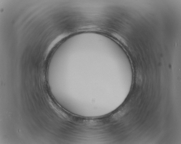 X0000060791458200512082112