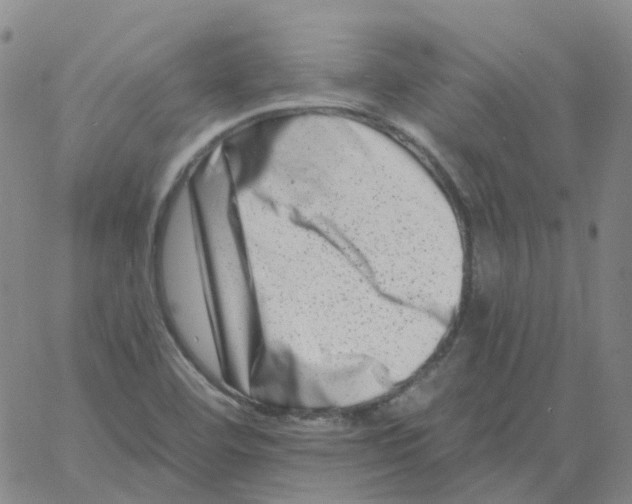 X0000060791460200512082112