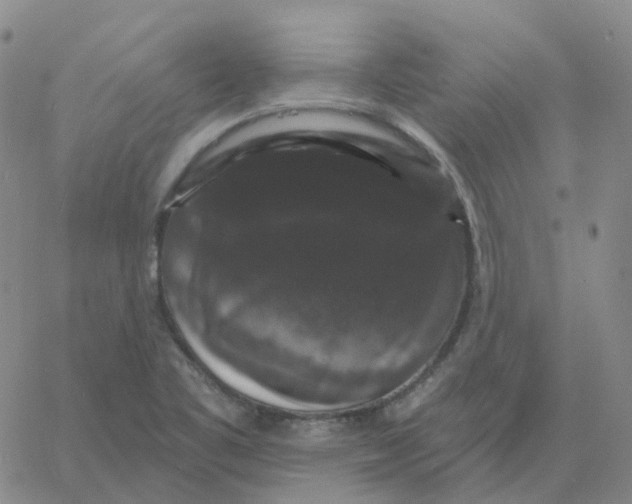 X0000060791461200512082112