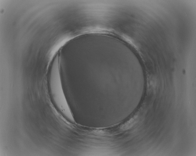 X0000060791463200512082112