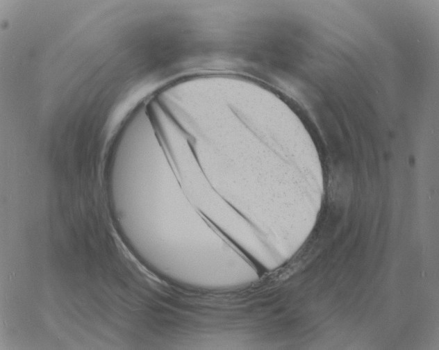 X0000060791464200512082112