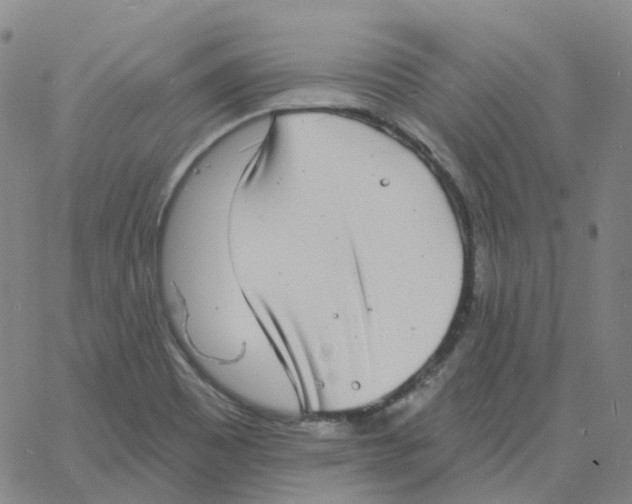 X0000060791465200512082112