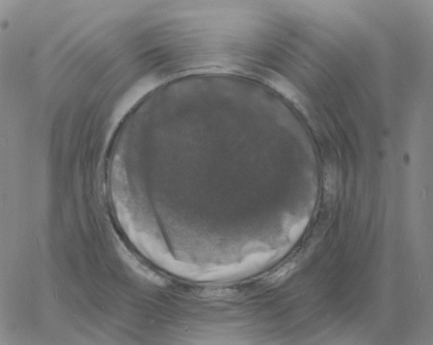 X0000060791466200512082112