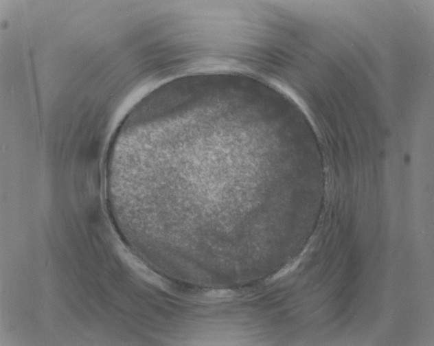 X0000060791467200512082112