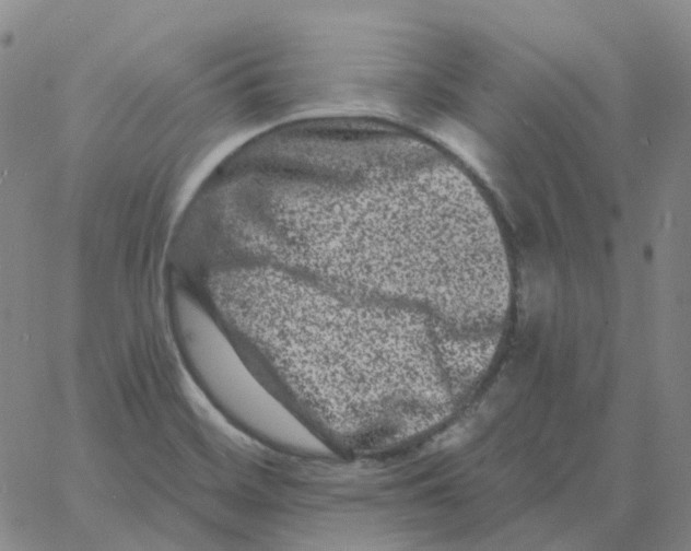 X0000060791468200512082112