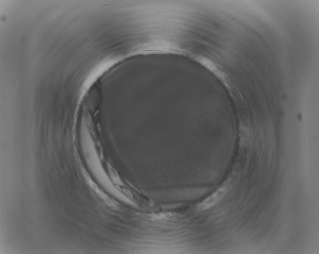 X0000060791469200512082112