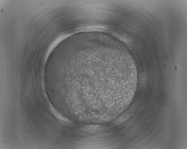 X0000060791470200512082112