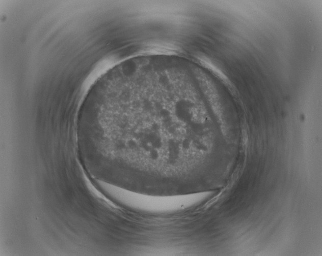 X0000060791471200512082112