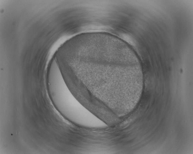 X0000060791472200512082111