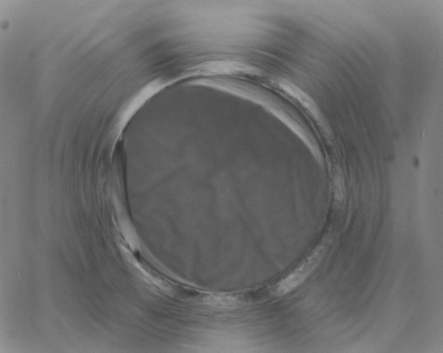 X0000060791473200512082111