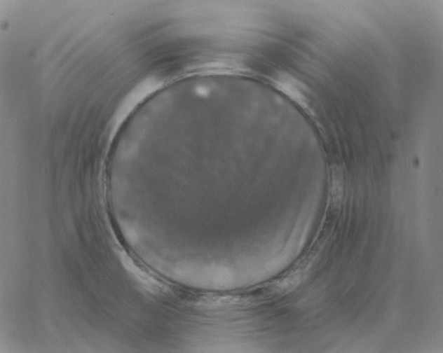 X0000060791474200512082111