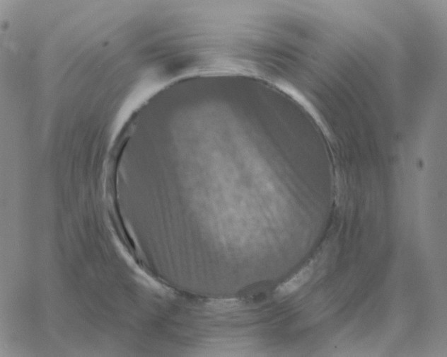 X0000060791477200512082111