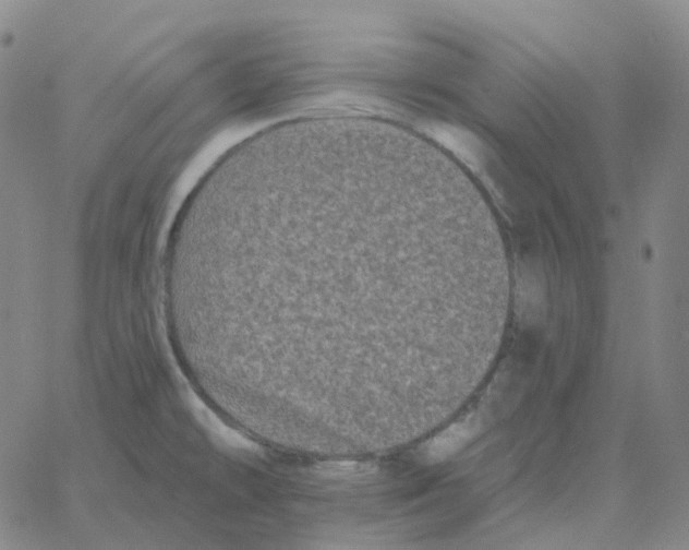 X0000060791478200512082111