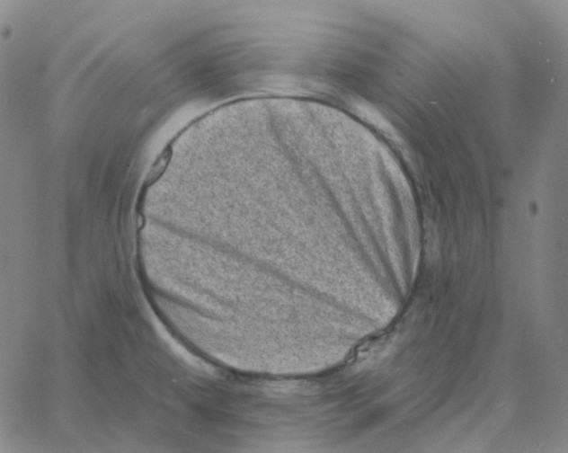 X0000060791479200512082111