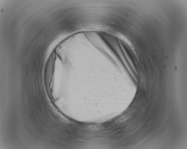 X0000060791480200512082111