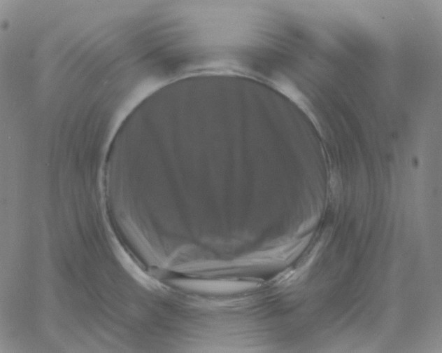 X0000060791482200512082111