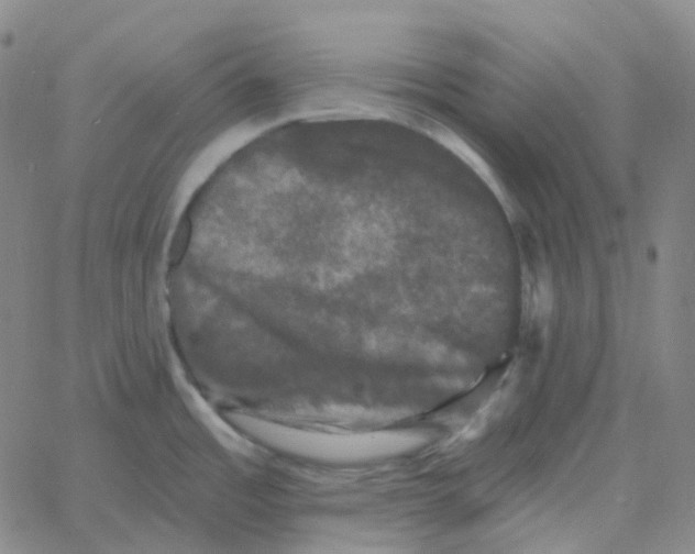 X0000060791485200512082111