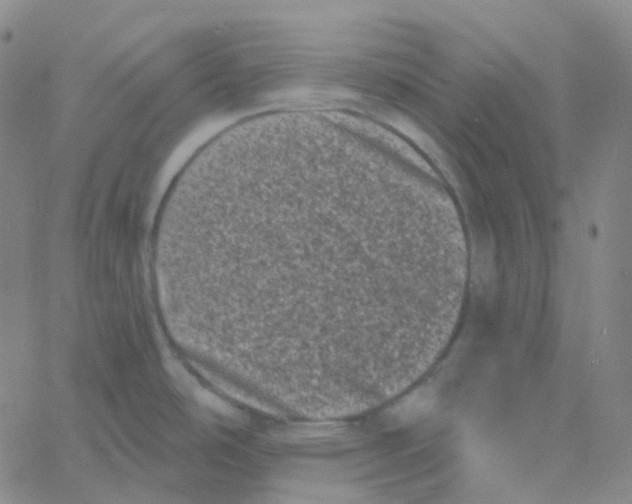 X0000060791486200512082111