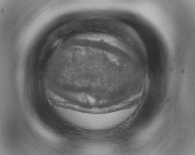 X0000060791487200512082111