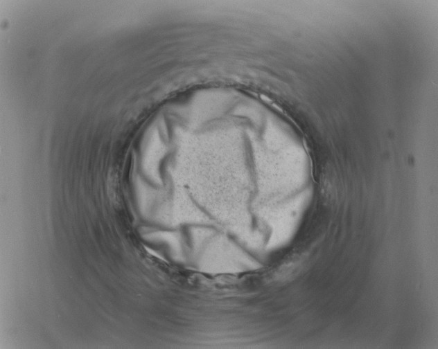 X0000060791490200512082110