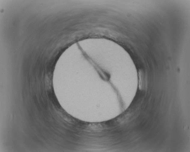 X0000060791491200512082110