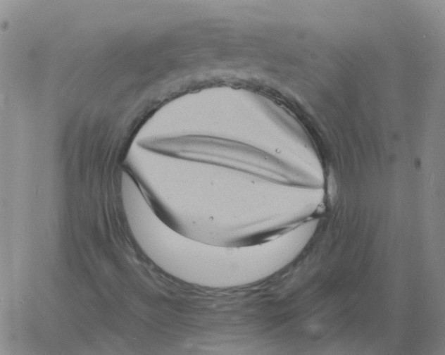 X0000060791492200512082110