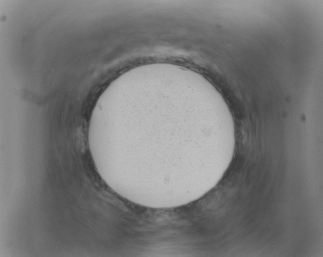 X0000060791493200512082110