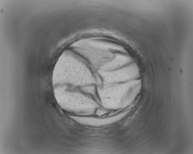 X0000060791494200512082110