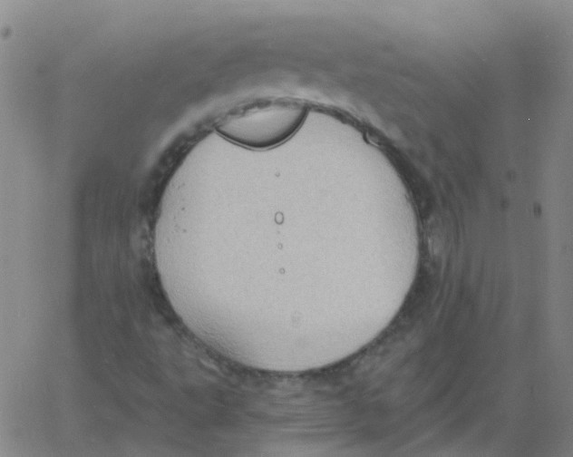 X0000060791495200512082110