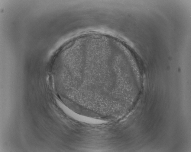 X0000060791496200512082110