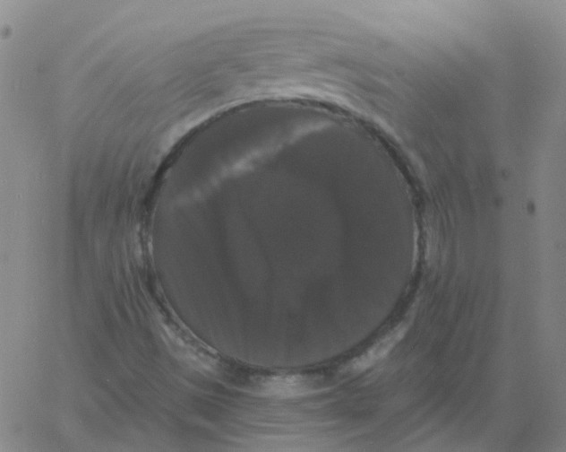 X0000060791497200512082110