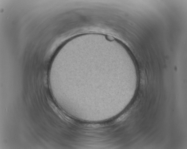 X0000060791499200512082110