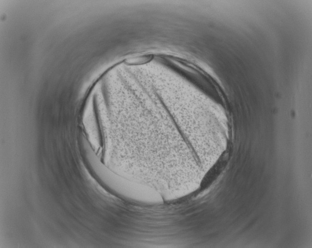 X0000060791500200512082110