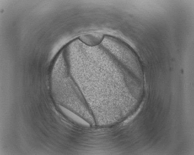 X0000060791501200512082110