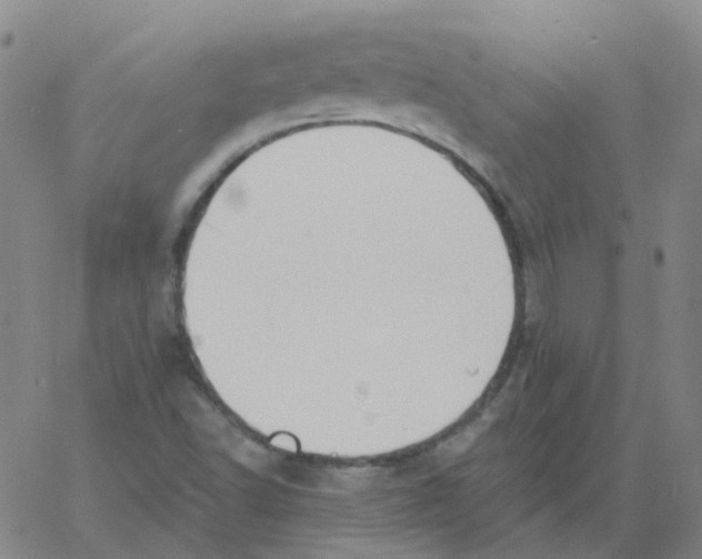 X0000060791502200512082111