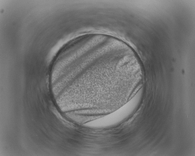 X0000060791503200512082111